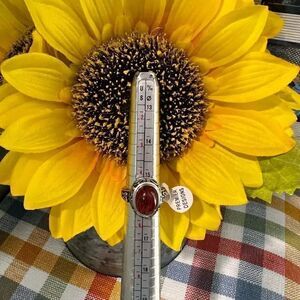 NWT Premier Designs Jewelry Red Spice Ring Size 8 #RGBG